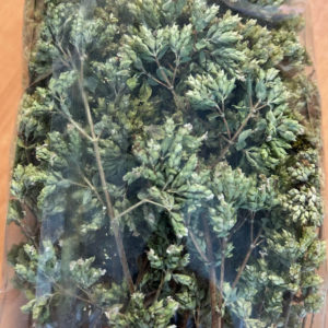 Origano Ramo