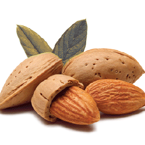 Mandorla